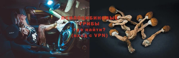 соль ск Армянск