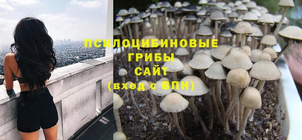 a pvp Алзамай