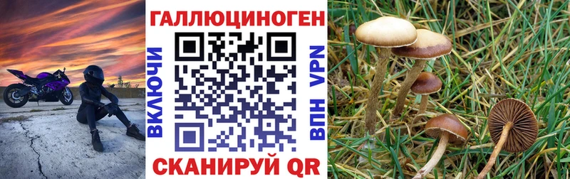 Псилоцибиновые грибы Magic Shrooms  Болохово 